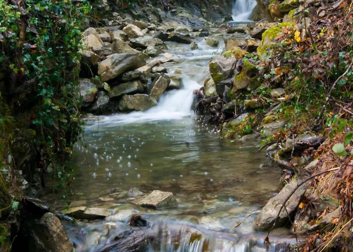 Secret Gardens Bed and breakfast