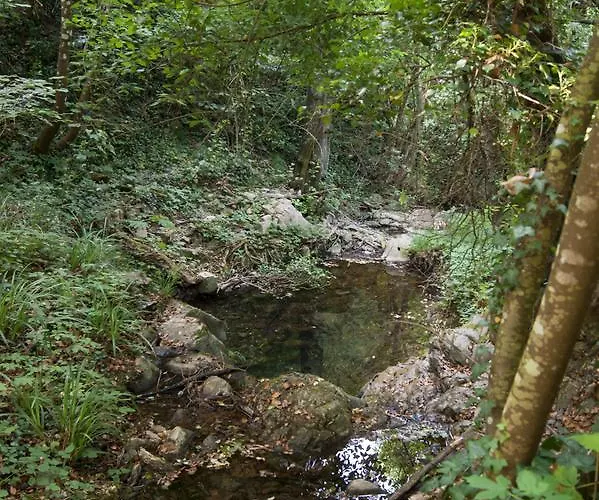 Secret Gardens Bed and breakfast Borgomaro