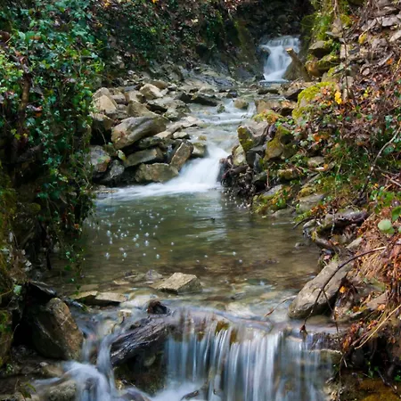 Secret Gardens Oda ve Kahvaltı