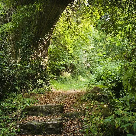 Secret Gardens 3*