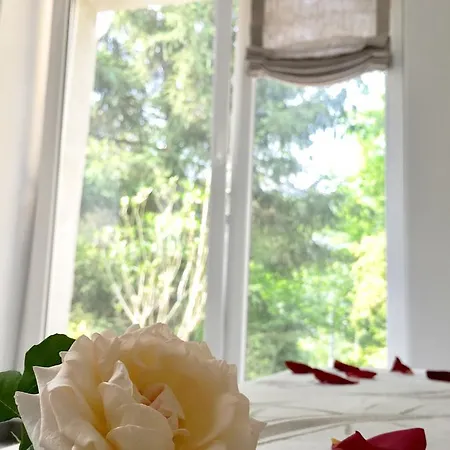 Secret Gardens Bed & Breakfast