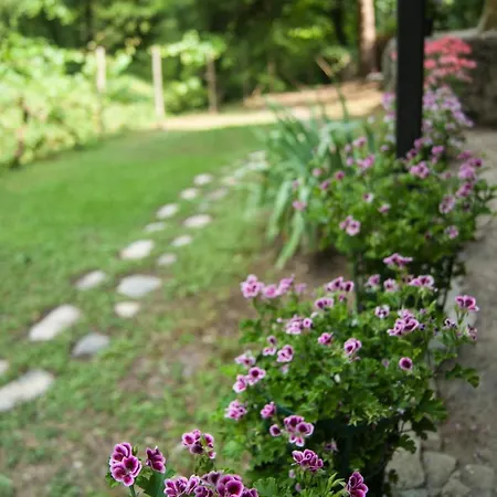 Secret Gardens Bed & Breakfast Borgomaro