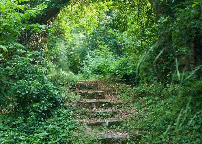 Secret Gardens Bed & Breakfast Borgomaro